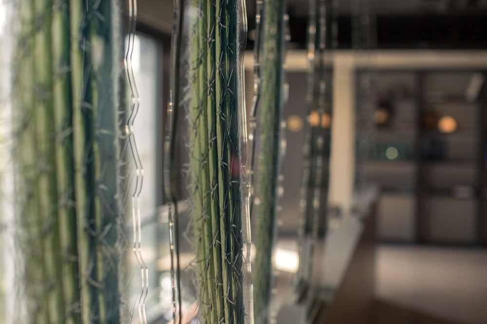 gambino hotel CINCINNATI